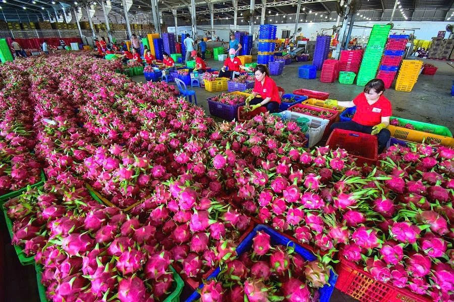Khuyến khích kêu gọi hợp tác, đầu tư phát triển hệ thống phòng kiểm nghiệm chất lượng nông sản, trái cây