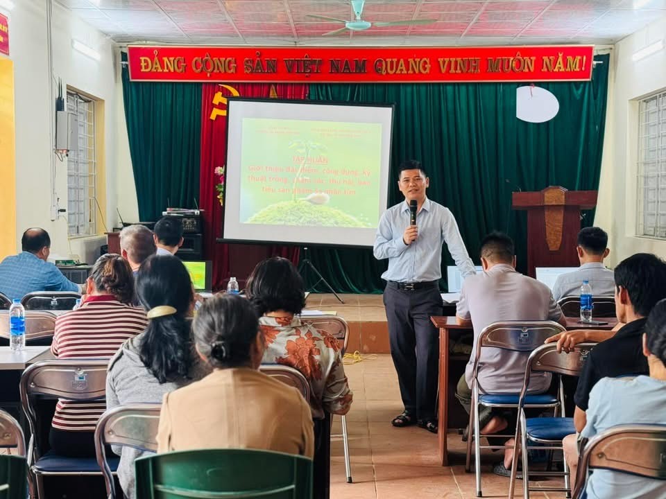 Cao Bằng: Hội thảo triển khai trồng rừng và cây dược liệu dưới tán rừng