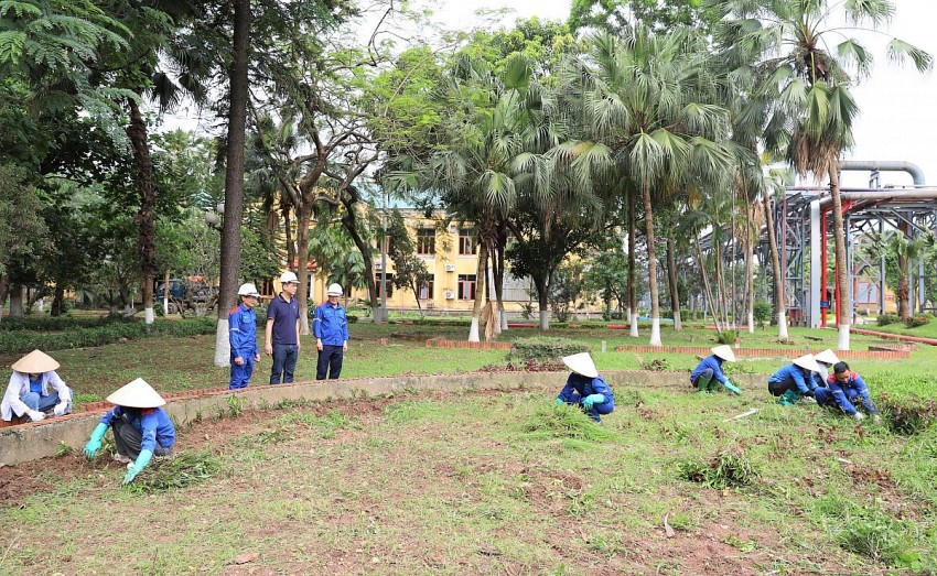 Sôi nổi buổi ra quân tổng vệ sinh toàn Công ty Supe Lâm Thao
