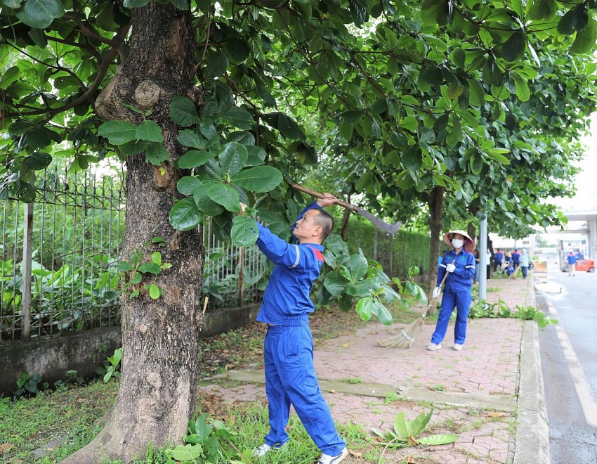 Sôi nổi buổi ra quân tổng vệ sinh toàn Công ty Supe Lâm Thao