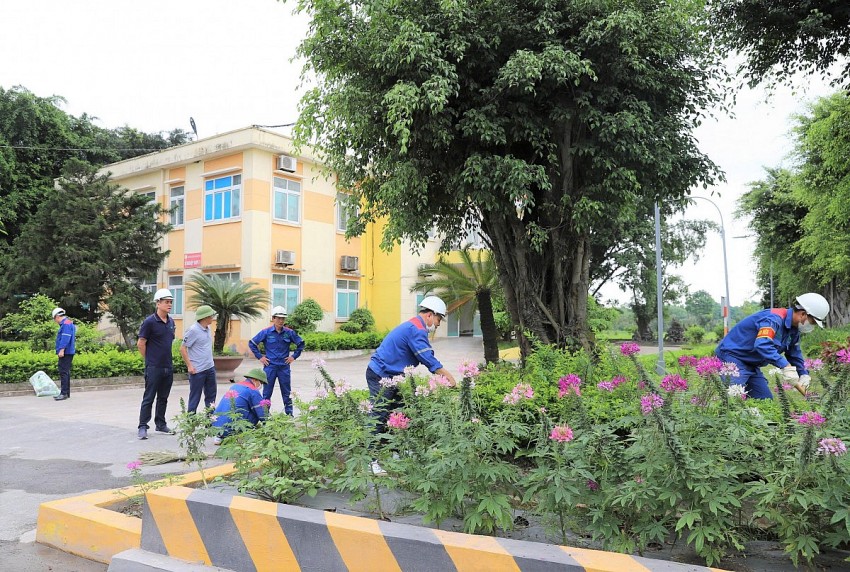 Sôi nổi buổi ra quân tổng vệ sinh toàn Công ty Supe Lâm Thao