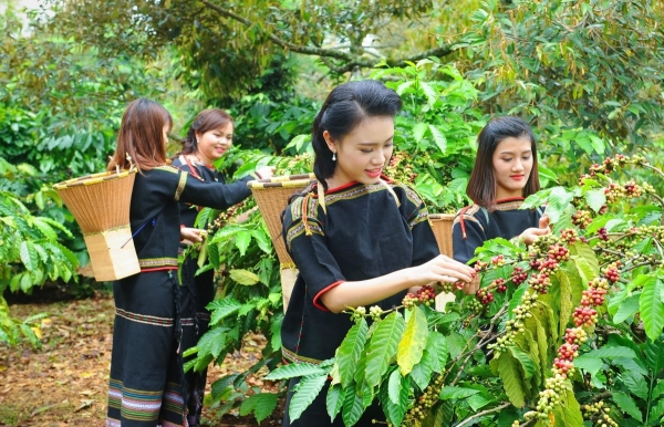 Thúc đẩy nông thôn mới, giảm nghèo bền vững và phát triển vùng đồng bào dân tộc thiểu số