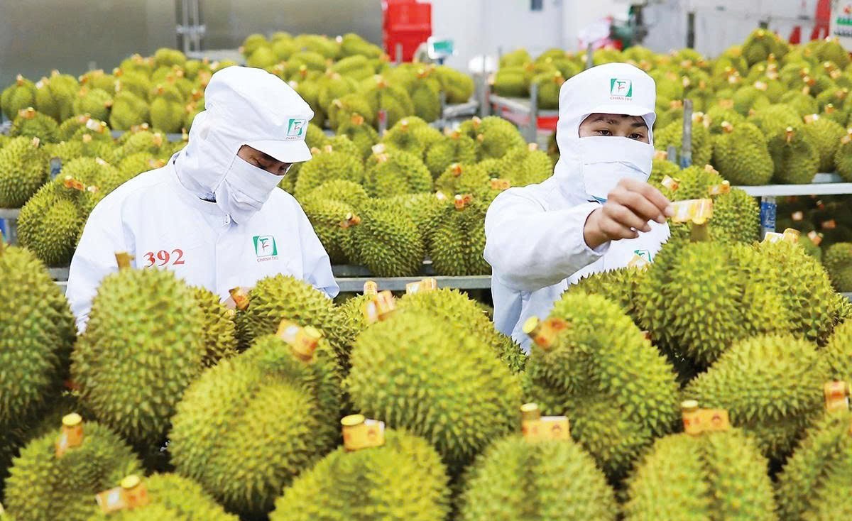 quyet liet thao go nut that kiem nghiem thuc day xuat khau sau rieng va nong san chu luc