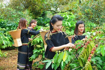 Thúc đẩy nông thôn mới, giảm nghèo bền vững và phát triển vùng đồng bào dân tộc thiểu số