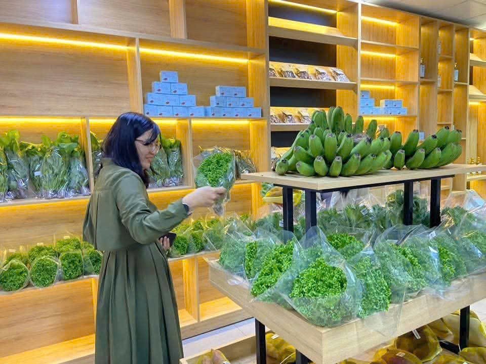 Lâm Đồng đặt mục tiêu phát triển xanh, bền vững giai đoạn 2026 - 2030