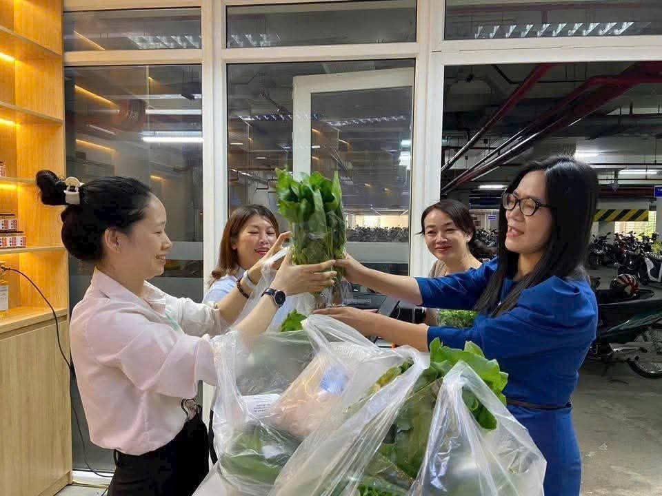 Lâm Đồng: Khai trương gian hàng, khu trưng bày kết nối cung - cầu các sản phẩm nông sản sạch