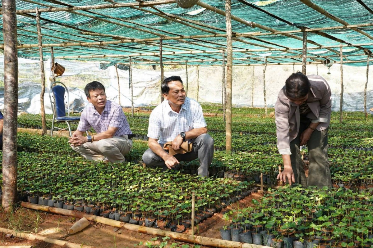 Quảng Ngãi: Thanh niên vùng cao tranh tài kỹ năng số, nông dân thi sản xuất bền vững