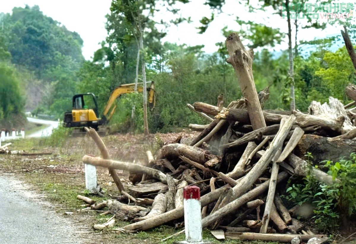 Nghệ An yêu cầu xử lý cây gỗ, rác trên sông Nậm Nơn - lòng hồ thủy điện Bản Vẽ
