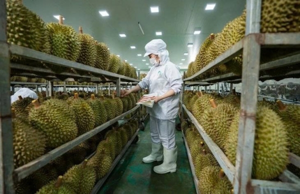 Thông báo kết quả đánh giá phòng thử nghiệm kiểm nghiệm chất vàng O và Cadmium