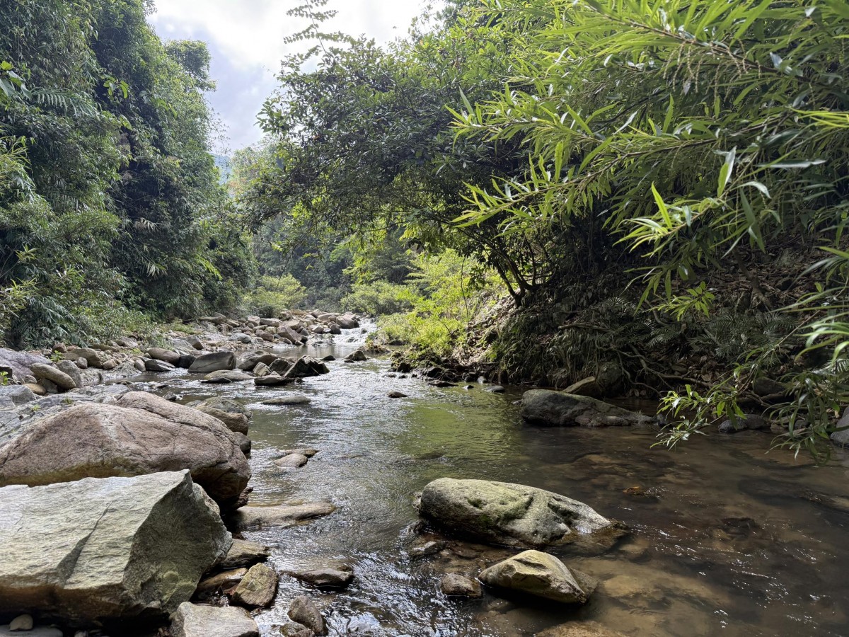 du lịch trải nghiệm