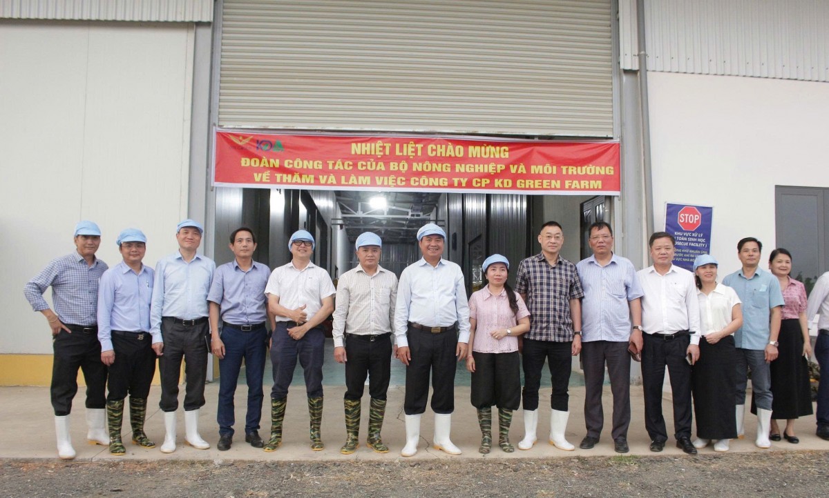 Thứ trưởng Võ Văn Hưng thăm cơ sở đóng gói và vùng trồng chuối già Nam Mỹ xuất khẩu tại Đắk Lắk