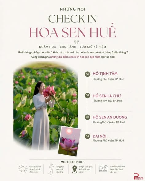 hoa sen Huế,