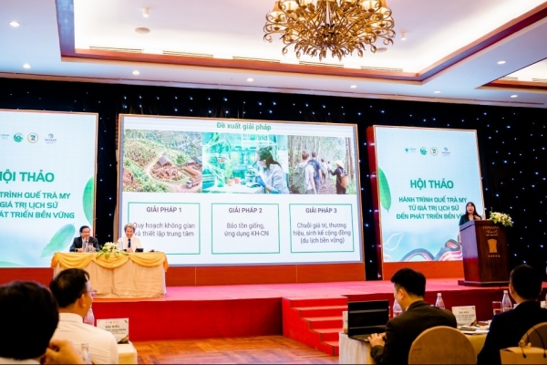 Quế Trà My: Hành trình từ di sản đại ngàn đến thương hiệu quốc tế bền vững