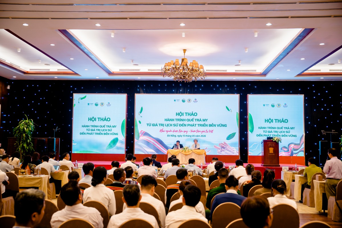 Quế Trà My: Hành trình từ di sản đại ngàn đến thương hiệu quốc tế bền vững