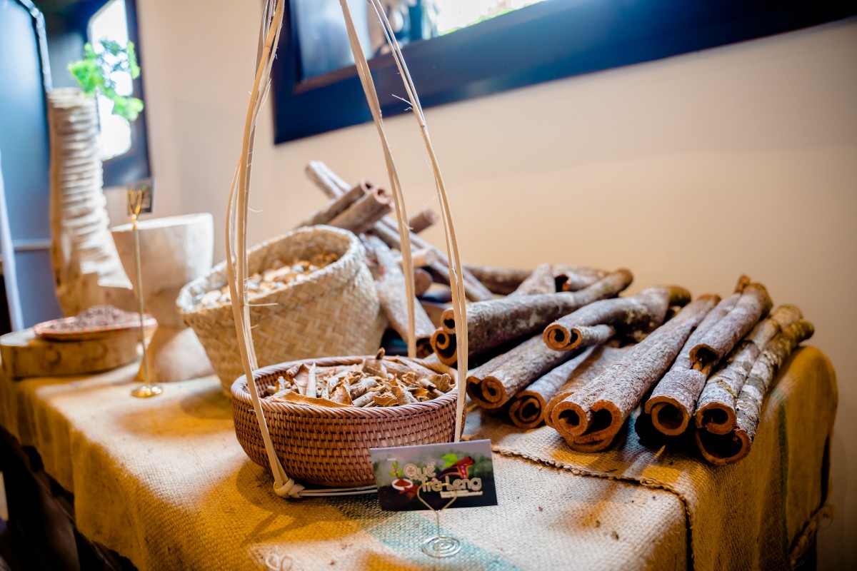Quế Trà My: Hành trình từ di sản đại ngàn đến thương hiệu quốc tế bền vững