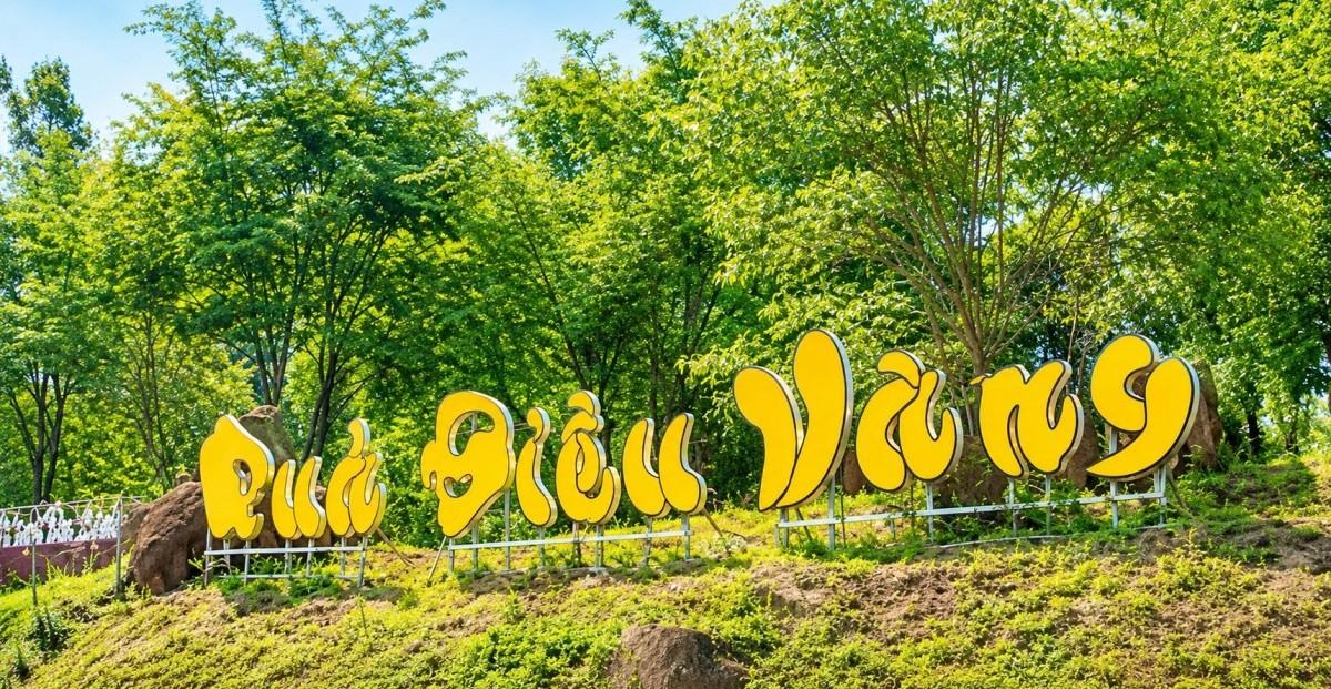 Thành phố Đồng Nai thành lập Ban Tổ chức Lễ hội Quả điều vàng năm 2026