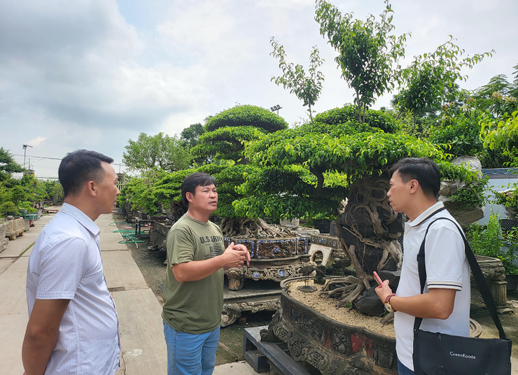 Làng nghề sinh vật cảnh Hồng Vân: Nơi đánh thức màu xanh của đất Thủ đô