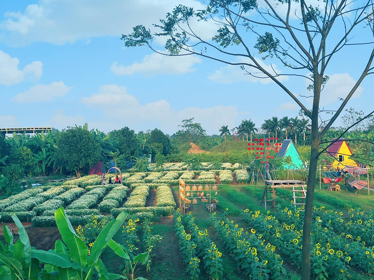 Làng nghề sinh vật cảnh Hồng Vân: Nơi đánh thức màu xanh của đất Thủ đô
