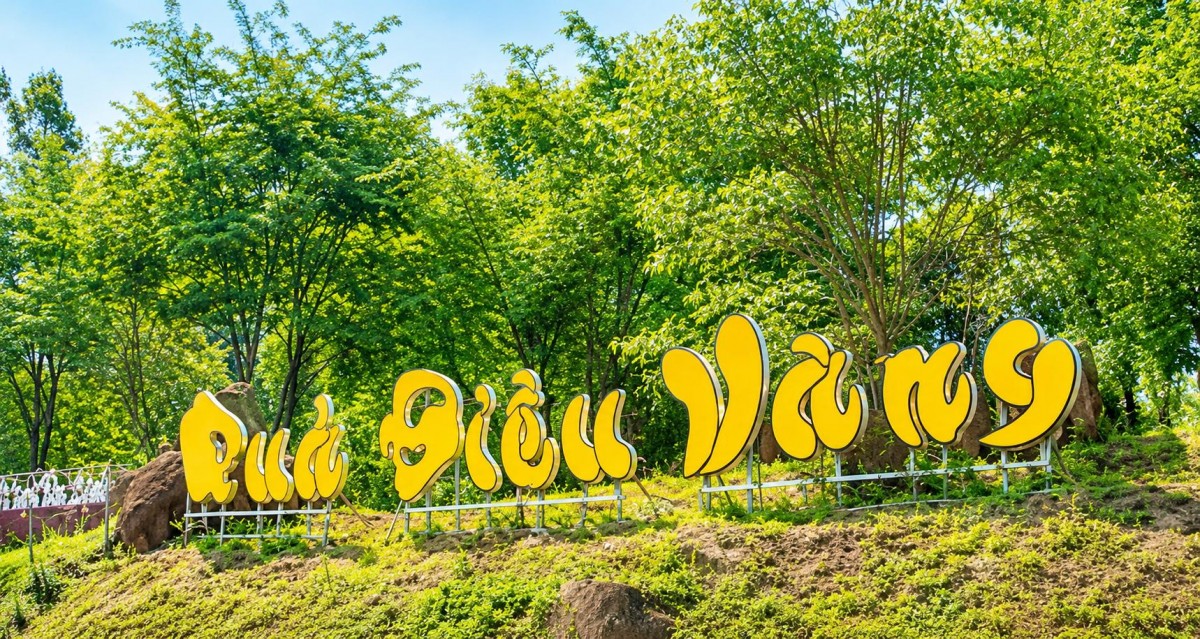 Thành phố Đồng Nai thành lập Ban Tổ chức Lễ hội Quả điều vàng năm 2026