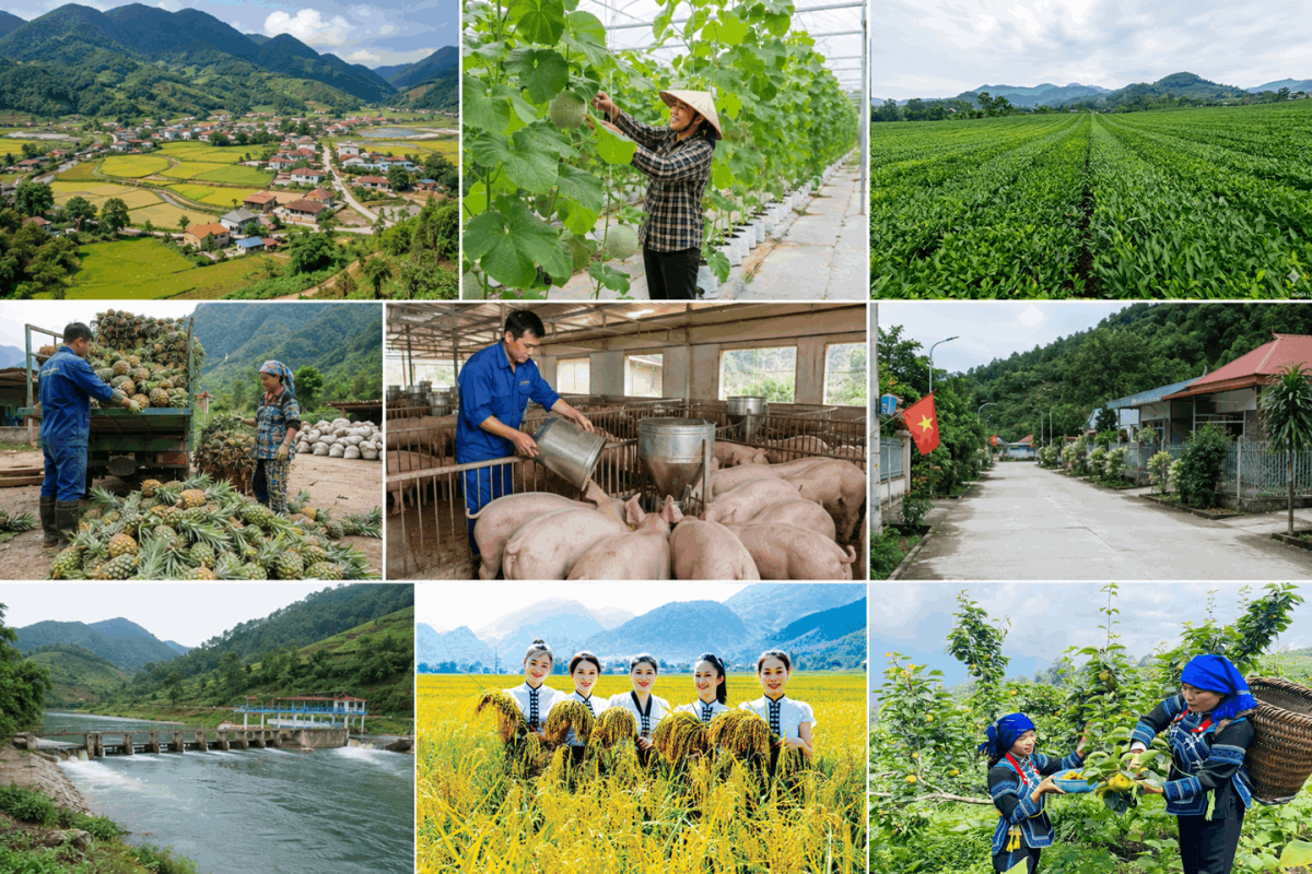 Lào Cai: Nhiều giải pháp đồng bộ thúc đẩy nông nghiệp sinh thái, nông thôn hiện đại
