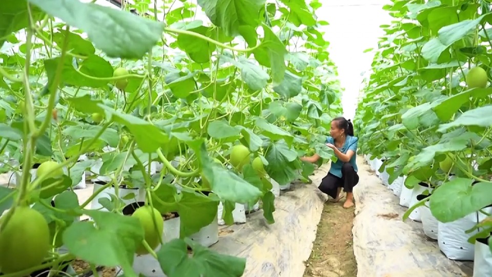 Xây dựng người nông dân văn minh - nền tảng phát triển nông nghiệp, nông thôn bền vững