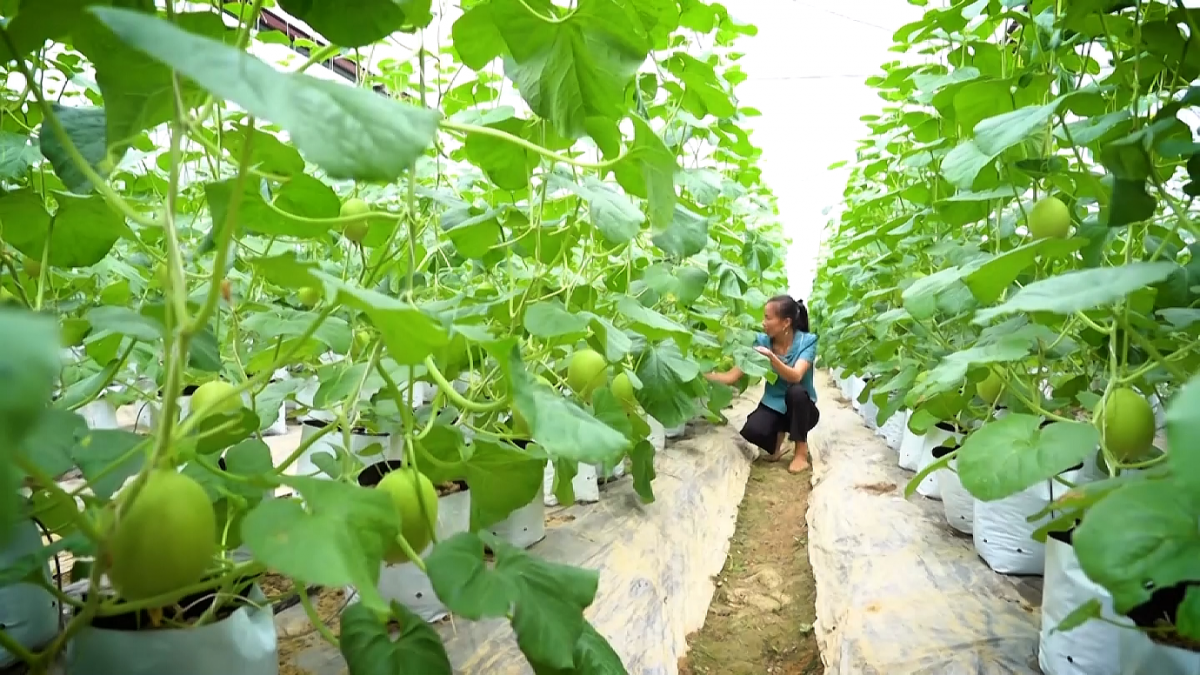 Xây dựng người nông dân văn minh - nền tảng phát triển nông nghiệp, nông thôn bền vững