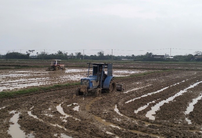 Quảng Trị: Triển khai các biện pháp chuẩn bị cho vụ Hè -Thu năm 2026