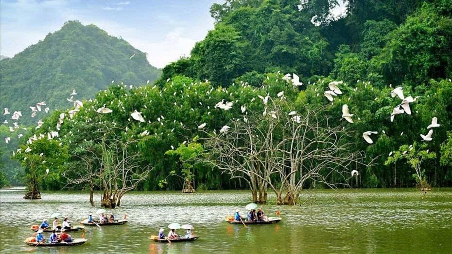 Bộ Nông nghiệp và Môi trường phát động hưởng ứng Ngày Quốc tế đa dạng sinh học năm 2026