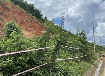 Lâm Đồng chuyển hơn 5,4ha rừng để khắc phục sạt lở Quốc lộ 28