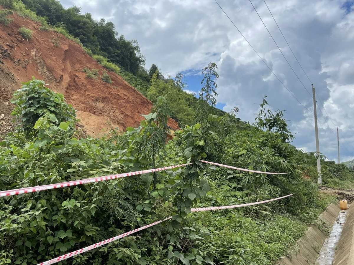 Lâm Đồng chuyển hơn 5,4ha rừng để khắc phục sạt lở Quốc lộ 28