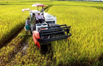 Giảm phát thải: Hướng đi mới để nâng cao giá trị nông sản Việt