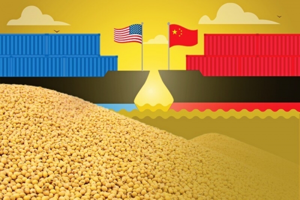 Trung Quốc có thể tăng mua nông sản Hoa Kỳ nhưng dư địa chủ yếu nằm ngoài đậu tương