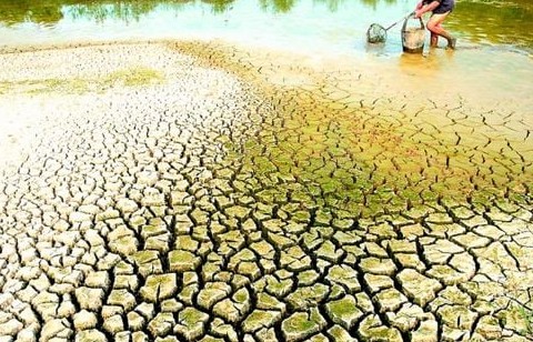 Xâm nhập mặn và những tác động nghiêm trọng đối với an ninh lương thực và nông nghiệp