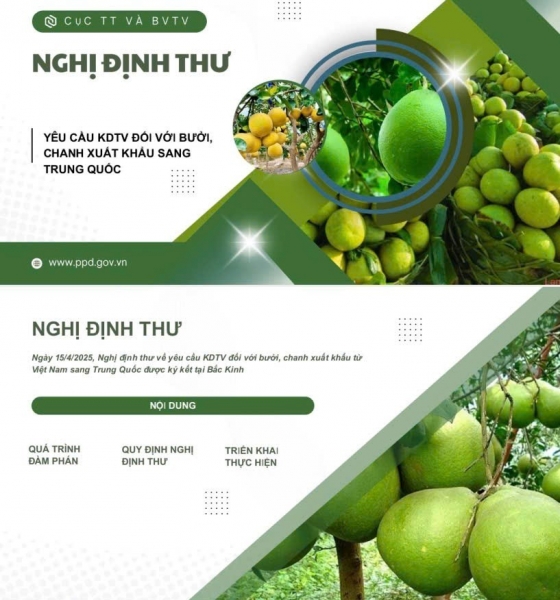 Trung Quốc cập nhật quy định đăng ký doanh nghiệp thực phẩm nhập khẩu