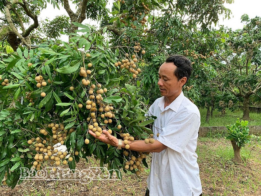 OCOP Hưng Yên: Điểm tựa từ cơ chế đến hành trình nâng tầm nông sản