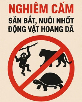 Quyết liệt ngăn chặn nạn săn bắt, mua bán động vật hoang dã trái phép
