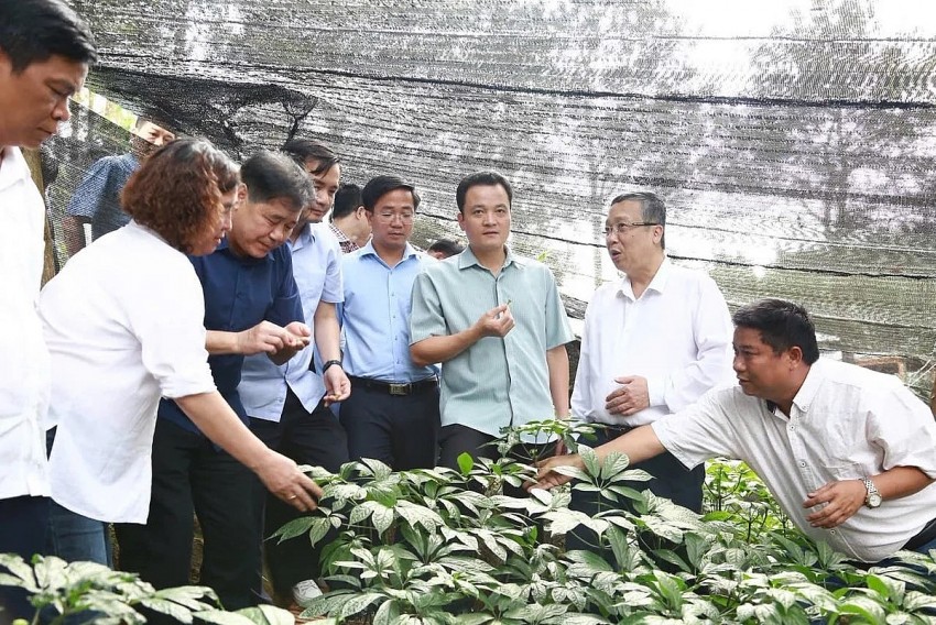 Lào Cai có nhiều lợi thế để phát triển nông nghiệp công nghệ cao
