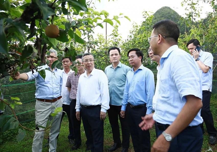 Lào Cai có nhiều lợi thế để phát triển nông nghiệp công nghệ cao