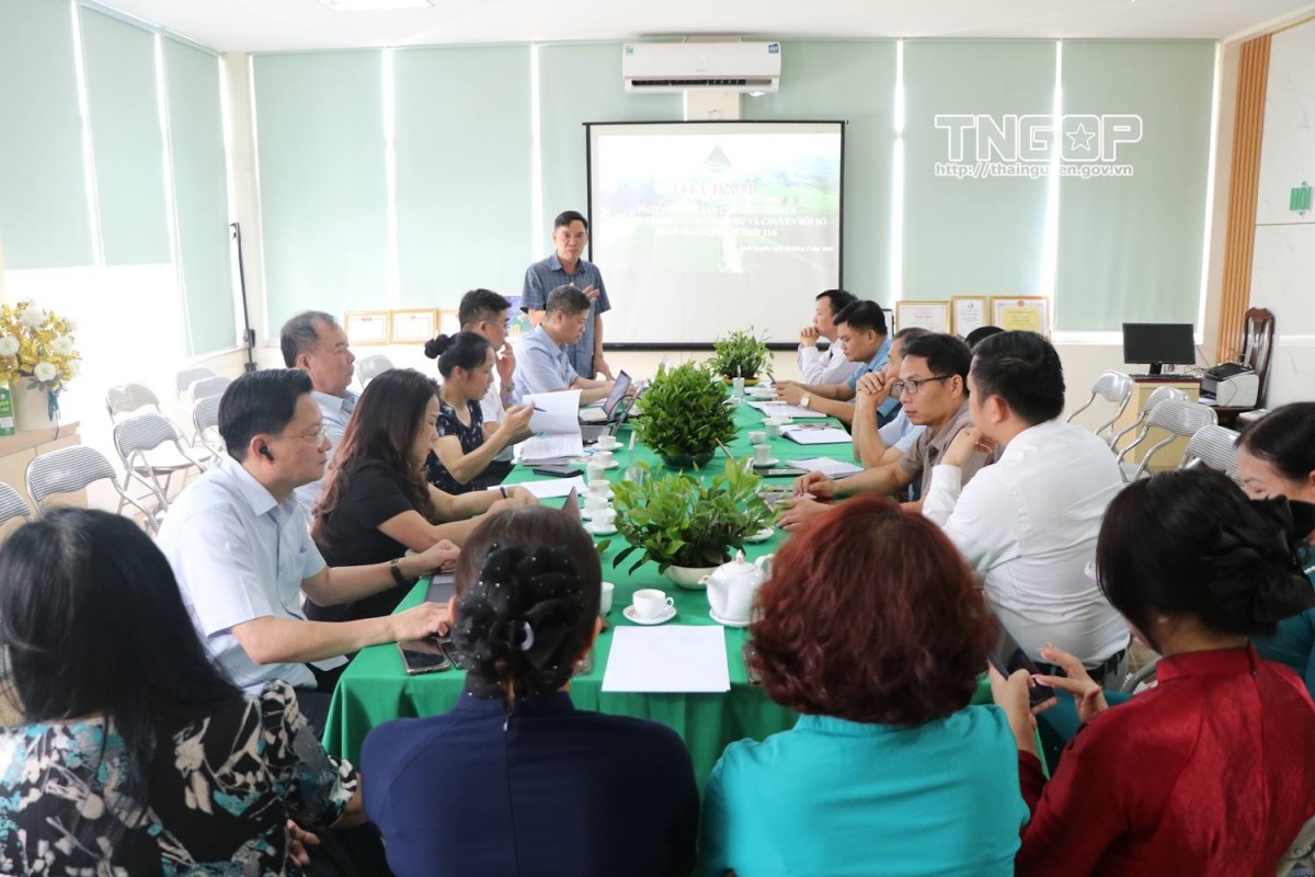 Thái Nguyên thúc đẩy phát triển ngành chè gắn với thương hiệu và chuyển đổi số