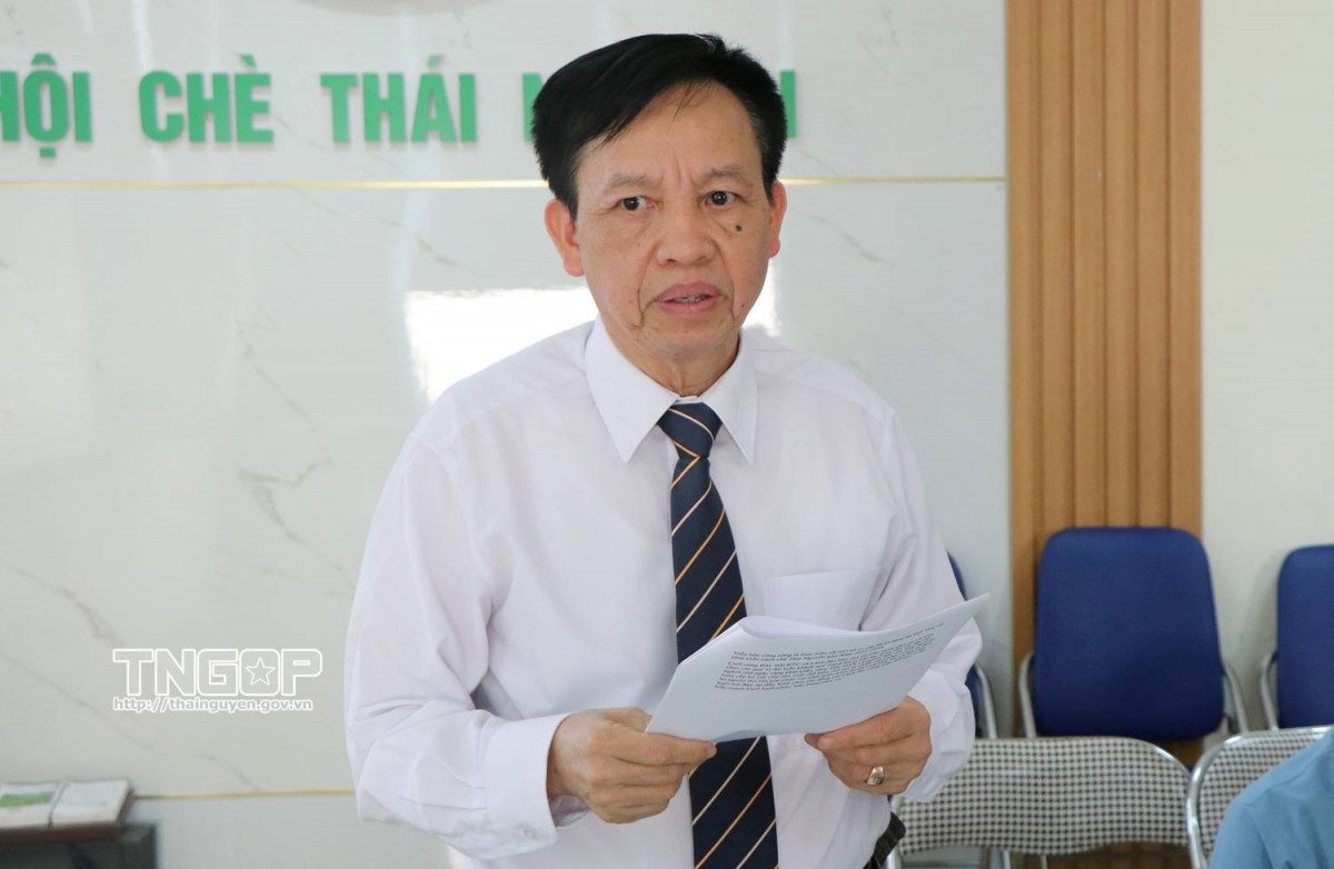 Thái Nguyên thúc đẩy phát triển ngành chè gắn với thương hiệu và chuyển đổi số