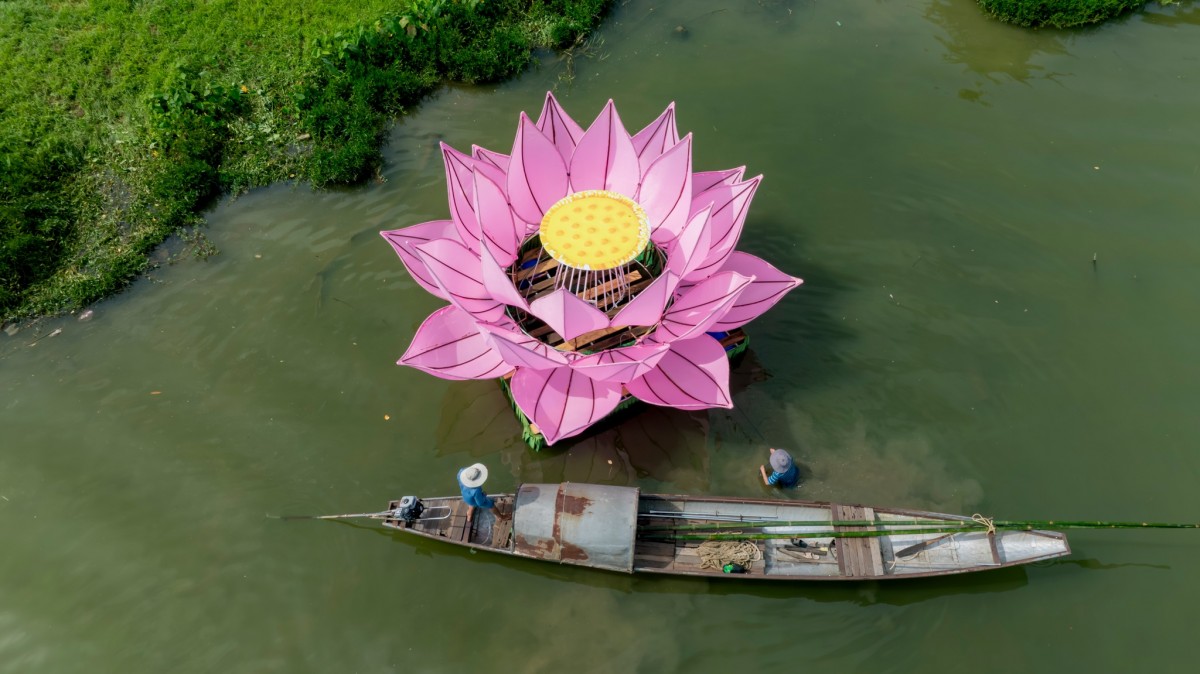 Hoa sen khổng lồ