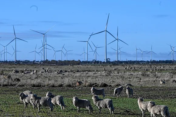 Trang trại điện gió lớn nhất Australia góp phần chuyển đổi năng lượng bền vững