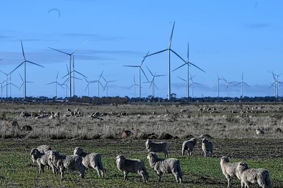 Australia sắp có trang trại điện gió lớn nhất Nam bán cầu