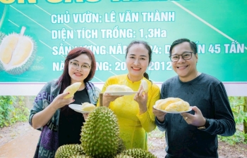 Giải bài toán mã số vùng trồng sầu riêng Tây Nguyên: Từ thực trạng xen canh cà phê đến yêu cầu luật hóa