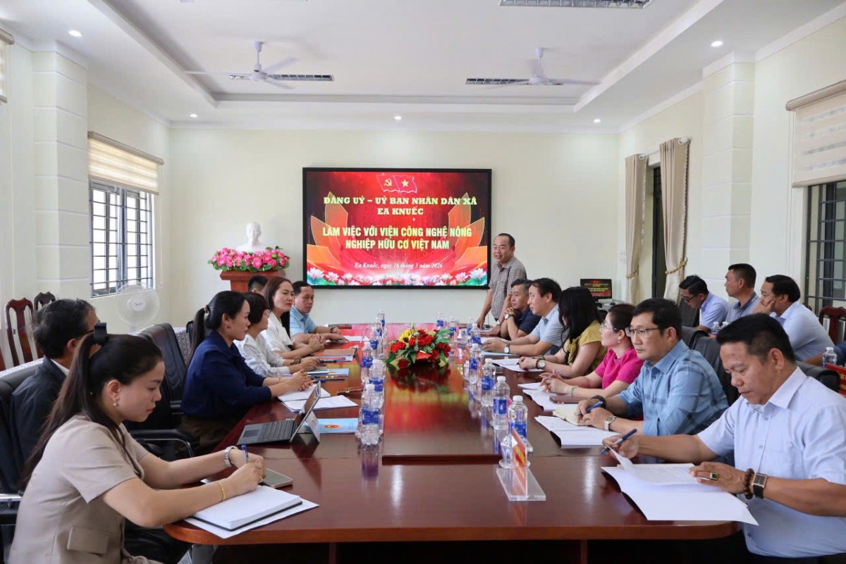 Giải bài toán mã số vùng trồng sầu riêng Tây Nguyên: Từ thực trạng xen canh cà phê đến yêu cầu luật hóa
