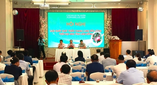 Triển khai nhiều giải pháp phát triển thanh long bền vững