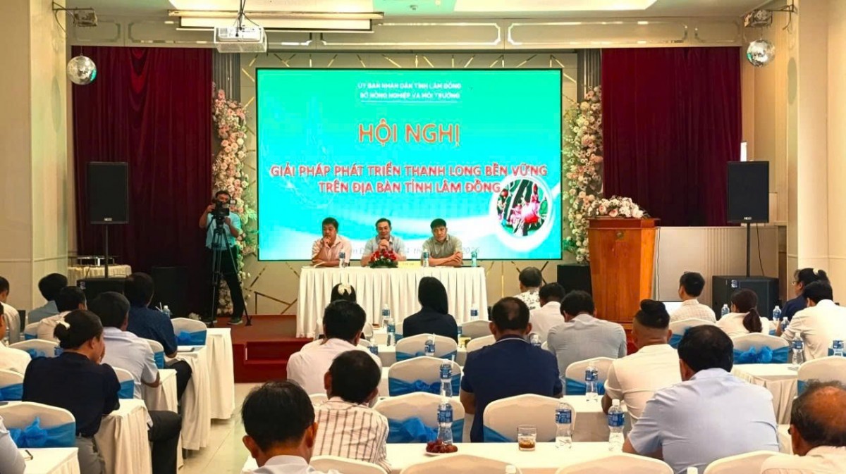 Triển khai nhiều giải pháp phát triển thanh long bền vững