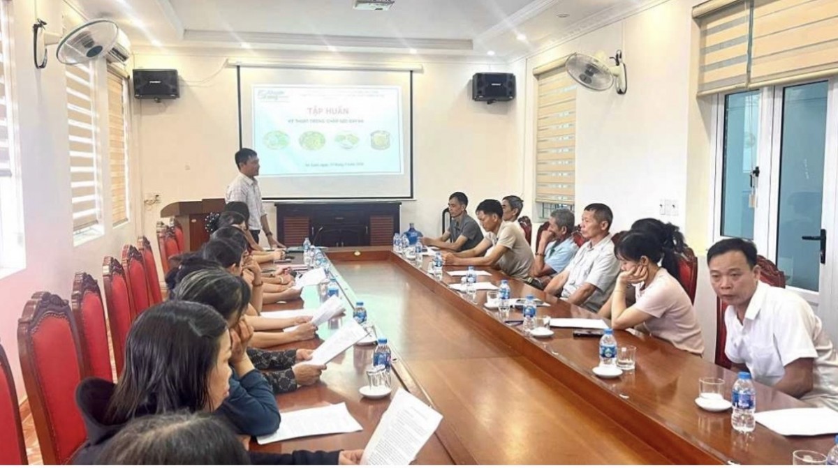 Quảng Ninh: Tổ chức lớp tập huấn kỹ thuật trồng cây Na theo tiêu chuẩn VietGAP