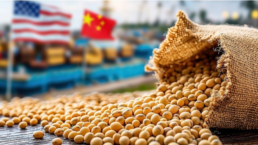 Thuế quan Trung Quốc khiến nông sản Hoa Kỳ thiệt hại gần 15 tỷ USD xuất khẩu