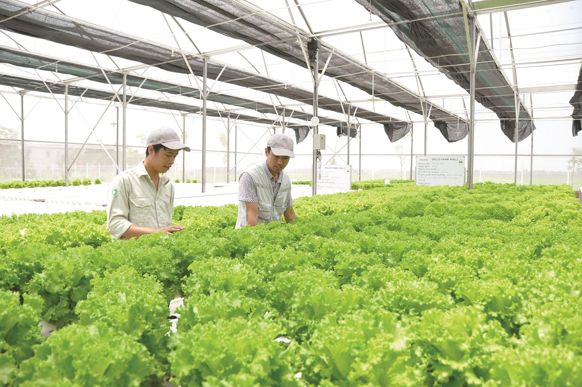 Kinh tế tuần hoàn trong nông nghiệp cần được tổ chức theo chuỗi, từ thu gom phụ phẩm, xử lý, tái chế đến tái sử dụng trong sản xuất, qua đó biến chất thải thành nguồn tài nguyên có giá trị.
